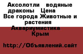 Аксолотли / водяные драконы › Цена ­ 500 - Все города Животные и растения » Аквариумистика   . Крым